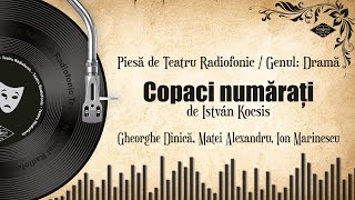 Copaci numărați  István Kocsis  Teatru pe Vinil  teatru radiofonic drama [upl. by Goldman998]