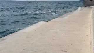 Sea Organ Zadar Croatia [upl. by Vedi151]