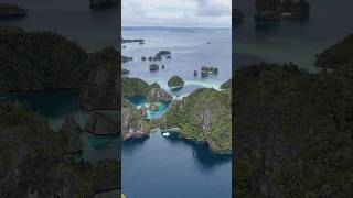 A day exploring Jellyfish Lake  Heart Reef  Remote Indonesia  Sailing Life [upl. by Eciuqram274]