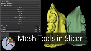 Mesh Tools in 3D Slicer [upl. by Rehtul947]