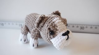 bulldog amigurumi tutorial [upl. by Gabriellia]