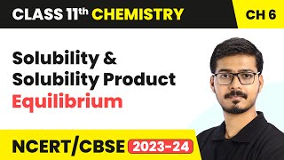 Solubility amp Solubility Product  Equilibrium  Class 11 Chemistry Chapter 6  CBSE [upl. by Edy300]