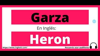 EL ABECEDARIO en inglés 🔊PRONUNCIACIÓN fácil y rápido🚀 ▶ ＃2 Clase [upl. by Severin]