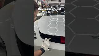 How to seal the edges on PPF tesla ppf car [upl. by Asertal]