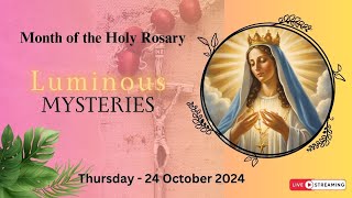 Holy Rosary Today  Luminous Mysteries  24 October 2024 [upl. by Jueta513]