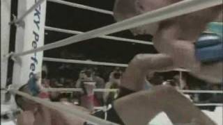 Fedor Emelianenko vs Antonio Rodrigo Nogueirawmv [upl. by Ardnik]