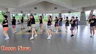 Bossa Nova  Line Dance Beginner [upl. by Yennaiv264]