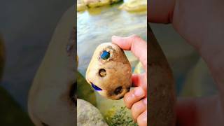 fresh water rocks agate gems crystals hunting crystalhunting youtubeshorts agatehunting [upl. by Asennav]