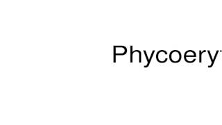 How to pronounce Phycoerythrin [upl. by Dagney864]