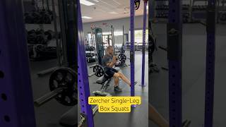 Zercher SingleLeg Box Squats [upl. by Kemble959]