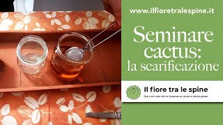 Come si seminano i cactus la scarificazione [upl. by Neelear]