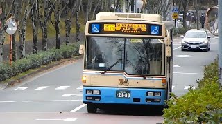 20221221 日野 PJKV234N1 西工 96MC 阪急バス 千里268 大阪200か2183 ｢大阪大学学舎間専用 直行 豊中学舎｣行き 人間科学部前バス停付近 [upl. by Akino]