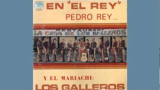 Mariachi Los Galleros de Pedro Rey Gavilan o Paloma [upl. by Anairda]