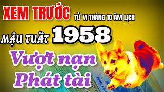 Sốc Mậu Tuất 1958 gặp may lớn xem trước tử vi tháng 10 âm thấy – Phát tài vượt hoạn nạn [upl. by Remington]