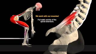 How to Avoid Injuries While Lifting Watch the muscles in 3D [upl. by Wiskind]