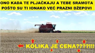 Jako rana žetva stočnog ječma [upl. by Nwahsyt337]