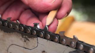 Sharpen a Chainsaw Chain  Tool Tip 10 Making Sawdust How to hand sharpen a chainsaw chain [upl. by Lamahj]