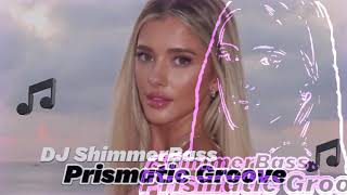 DJ ShimmerBass  Prismatic Groove Exclusive 2024 [upl. by Pail970]