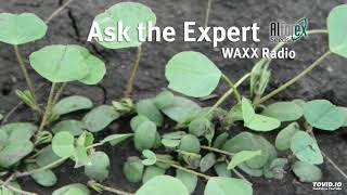 Ask The Alfalfa Expert  Alfalfa Germination Planting Depths and Soil Temperature 12319 [upl. by Nivram]