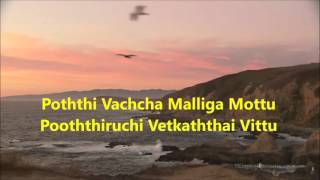 Pothi Vacha Malliga Mottu Karaoke for Male [upl. by Annal873]