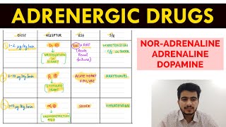 Autonomic Pharmacology  15  NorAdrenaline  Adrenaline amp Dopamine  EOMS [upl. by Biel]