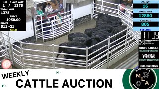 442024 Maryville Livestock Auction  Cattle Auction [upl. by Aneek607]