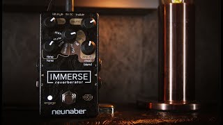 Neunaber Immerse Reverberator MkII  Stereo Demo Use Headphones [upl. by Dadinirt]