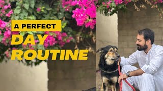 How I Turn My Routine into a Day Full of Fun and Focus Say Hi to Vick The Cutest Dog Ever🐶Vlog3 [upl. by Rosco474]