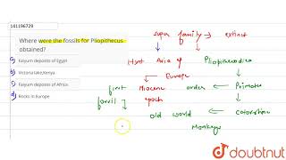 Where were the fossils for Pliopithecus obtained  12  EVOLUTION OF HUMAN  BIOLOGY  ARIHANT [upl. by Antonella]