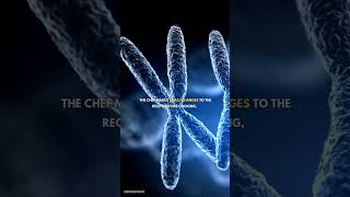 What is RNA Editing  genetics biology dna rna [upl. by Nidnerb]