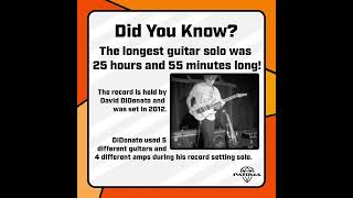 Did You Know The longest guitar solo was 25 hours and 55 minutes long guitarsolo guitar [upl. by Sidon307]