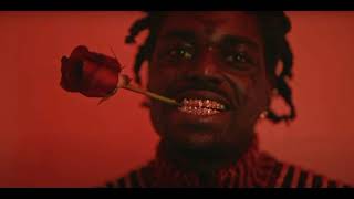 Kodak Black  Catch Fire [upl. by Eceined]