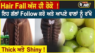 Hair Fall ਅੱਜ ਹੀ ਰੋਕੋ  ਇਹ ਗੱਲਾਂ Follow ਕਰੋ ਅਤੇ ਆਪਣੇ ਵਾਲਾਂ ਨੂੰ ਰੱਖੋ Thick ਅਤੇ Shiny [upl. by Enileuqcaj]