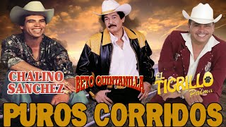 Puros Corridos Mix 2024 El Tigrillo Palma y Chalino Sanchez y Beto Quitanila Corridos Chingones 💕 [upl. by Eal647]