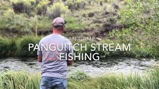 Panguitch Lake Stream Fishing [upl. by Michaud]