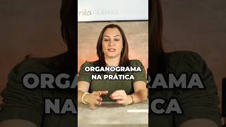 Entenda o Organograma na Prática [upl. by Avi567]