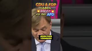 💥SIE ZITTERN vor ANGST⚡💥 afd ampel scholz cdu merz lindner bsw spd bundestag habeck [upl. by Twum473]