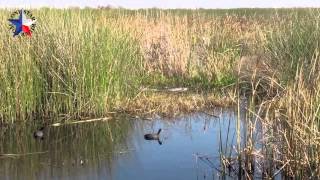 Brazoria National Wildlife Refuge Part 1 [upl. by Patrizia]