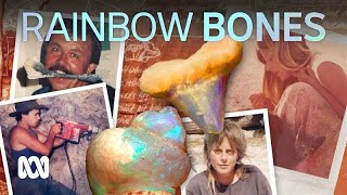 Opalised fossils hide in private collections These palaeontologists rescue them 🦴🌈  ABC Australia [upl. by Shanta613]