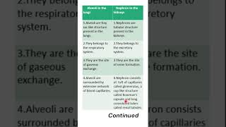 Alveoli in lungs vs Nephron in kidney shortvideo science biology  Life processes [upl. by Garibold395]