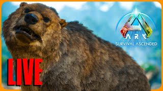 ULTIMATE DIRE BEAR BREEDING  ASA COMPLETION 🔴 LIVE 🔴 [upl. by Yenohtna933]