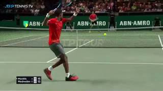 Amazing Gael Monfils Shots v Medvedev  Rotterdam 2019 [upl. by Barton]