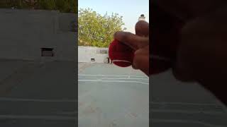 l cricket cricket foryou trending 🔴🙏🏻✅cricket how to spin cosco ball viral [upl. by Lemuela]