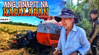 P1  Ang Sinapit na Kapalaran ng mga Dumapang Palay ni Tatang  EP1573 [upl. by Nylatsirhc448]