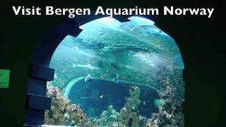 Building a 100000 liter Reef Ceramic Tunnel Aquarium [upl. by Papagena]