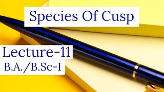 Species of cuspSingular PointsLecture11BABScIKUK [upl. by Ilarin]