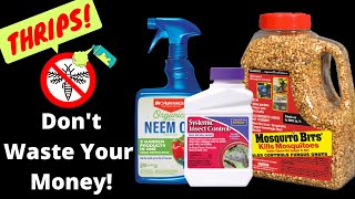 How to Get Rid of Thrips common house plant pests  Thrip lifecycle [upl. by Mcnelly]