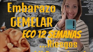 Embarazo GEMELAR🤰 ECO 12 Semanas Mi experienciaRiesgos [upl. by Iridissa596]