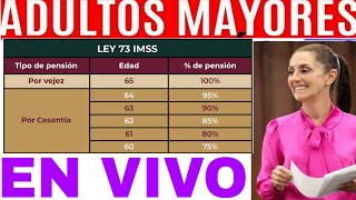 AUMENTO 100 IMSS ISSSTE PENSIÓN ADULTO MAYOR 2025 INPC INEGI SALARIO VS UMAS [upl. by Greer]