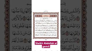 Surah ash shamsh beautiful quran recitation by abdullah AL gamdi [upl. by Willyt]